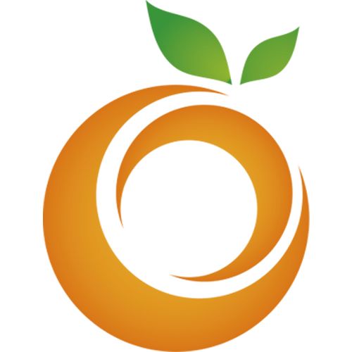 西安橙子网络科技